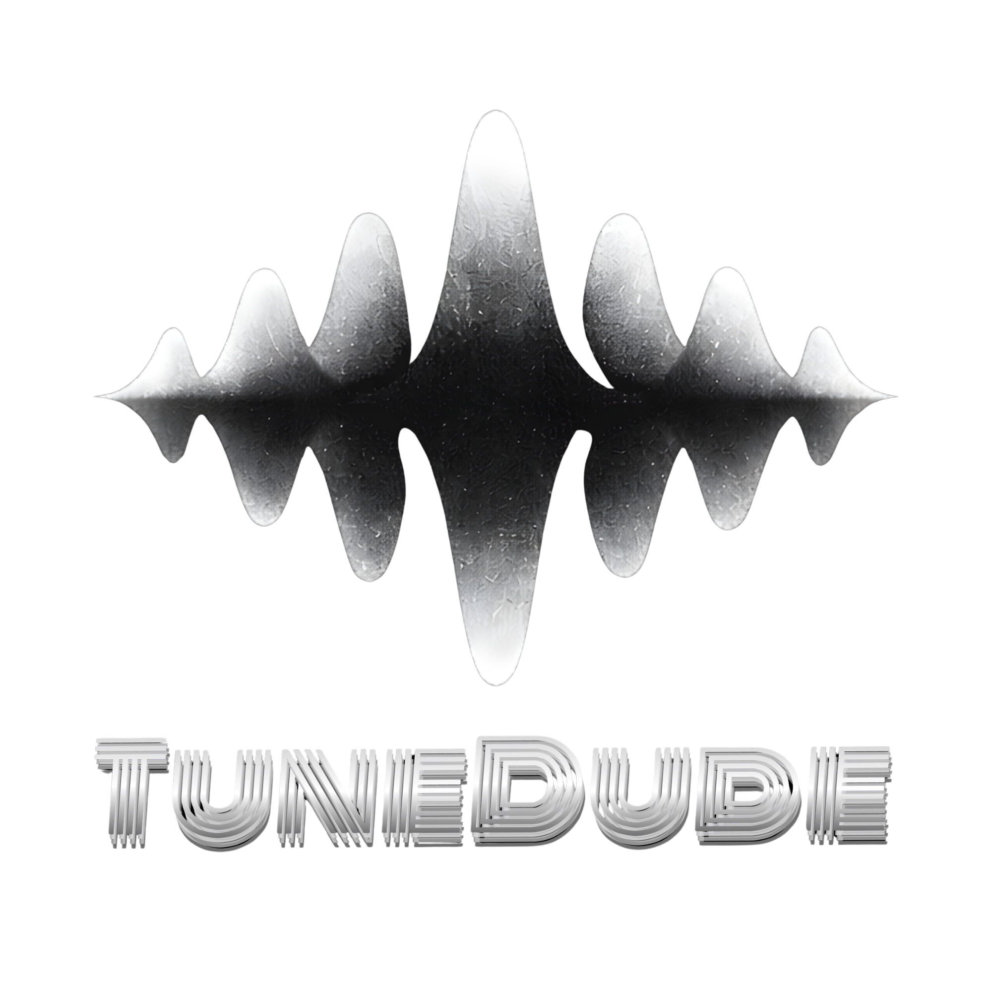 TuneDude logo